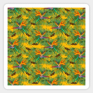 Birds of Paradise Magnet